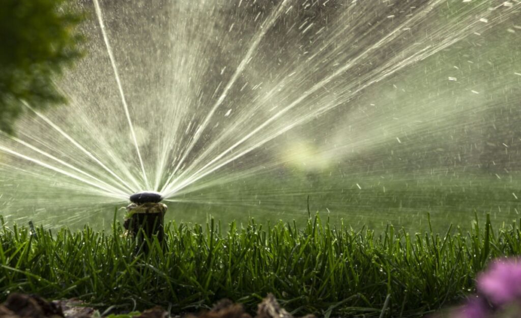 photo of a pop-up sprinkler