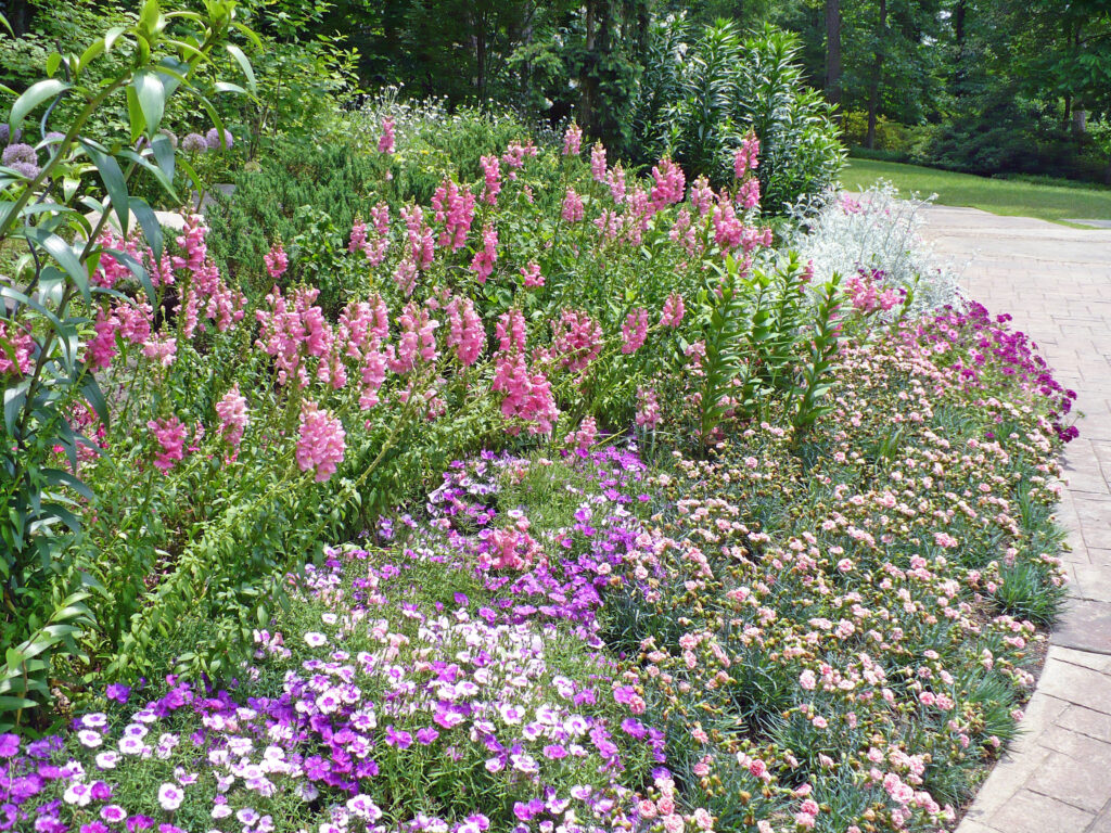 perennial border at garvin gardens