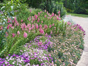 perennial border at garvin gardens
