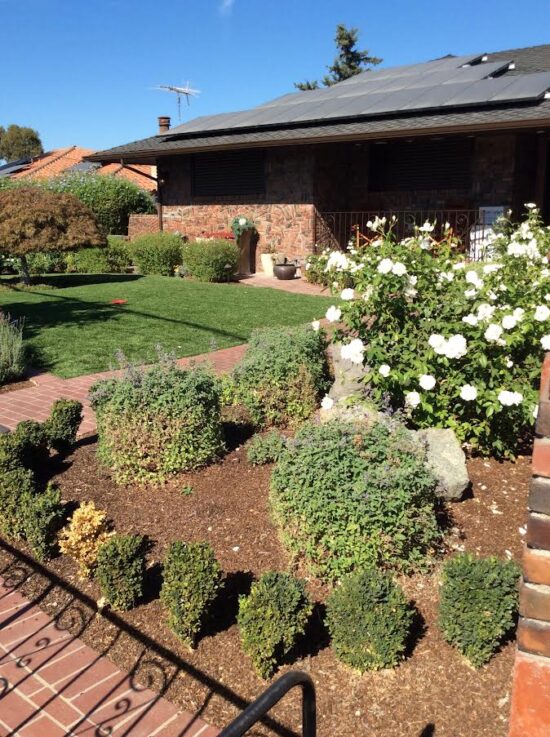 A garden with bushes and flowers in the middle of it.