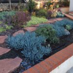 A garden with many different plants and flowers.