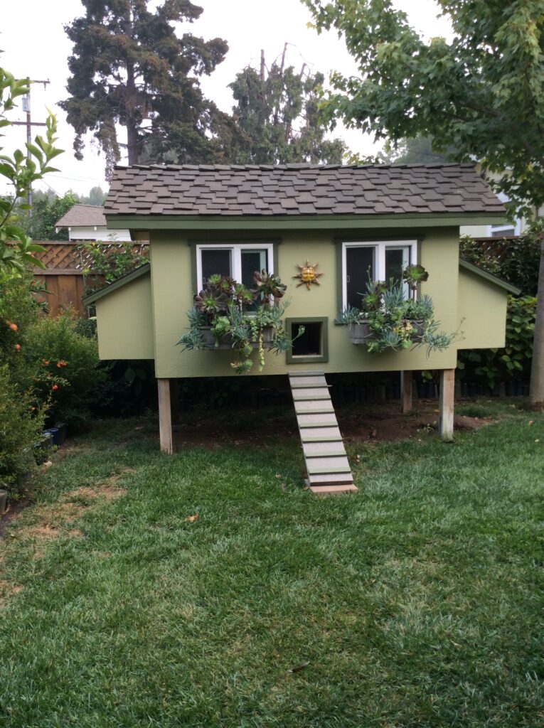 Darling and posh chicken coop