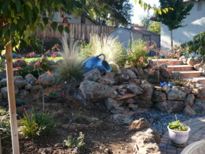 A blue bird sitting on top of rocks.