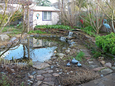 pruned pond garden