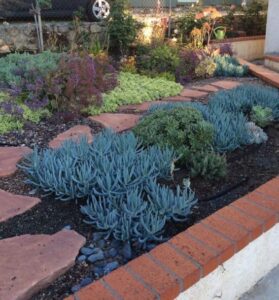 A garden with many different plants and flowers.