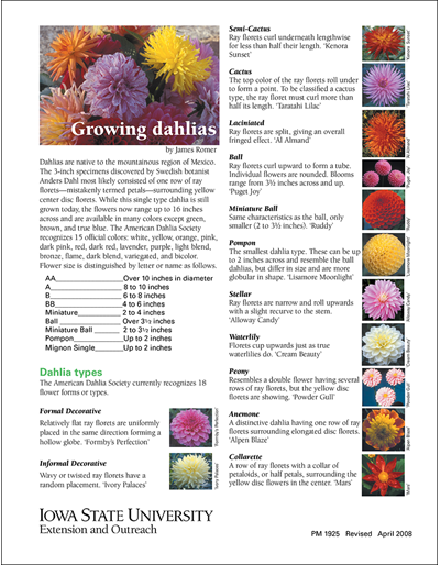 Dahlia information from U of I