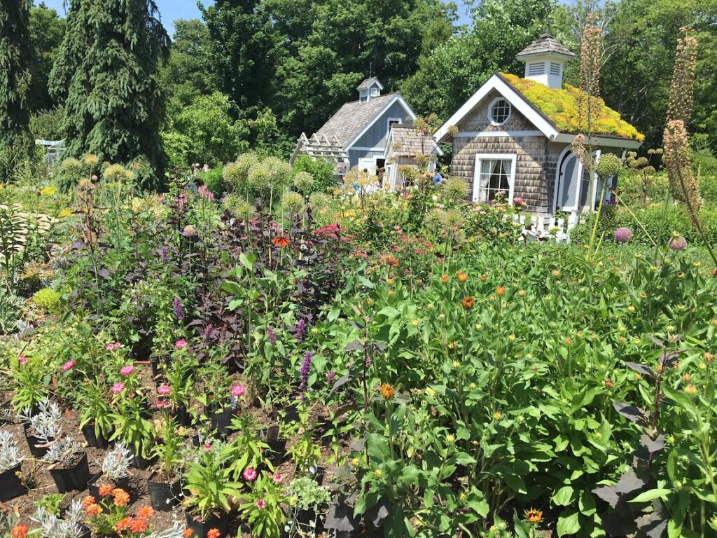 childrens garden at Coastal Maine garden