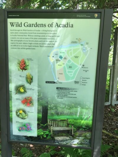 sign for Acadia Wild Garden