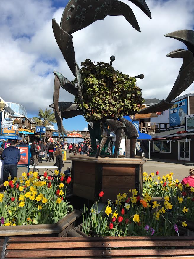 Menacing Crab Topiary Pier 39 S.F.