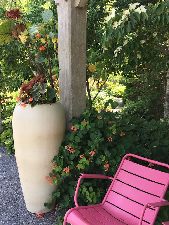 Beautiful Planted pot with pink chair Coastal Maine Gardens