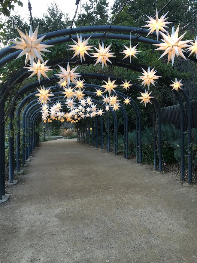 Star lights on an arch in Huntington Gardens