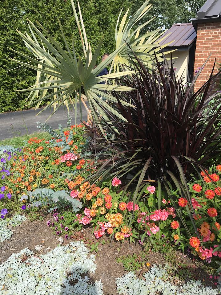 A garden with many different flowers and plants