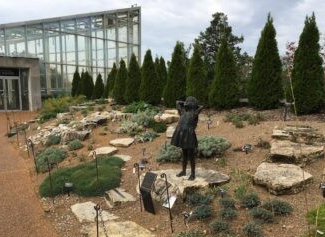 Rock garden with low water plants