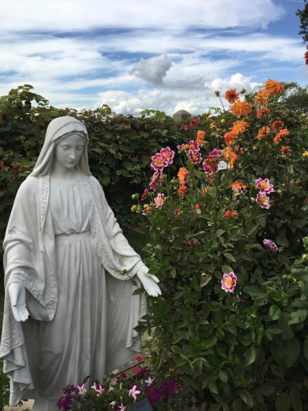 mary statue with dahlias