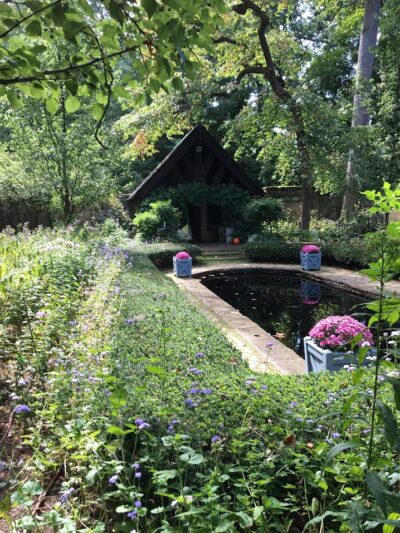 small pond in the English garden