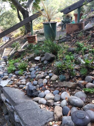 rockery above a wall