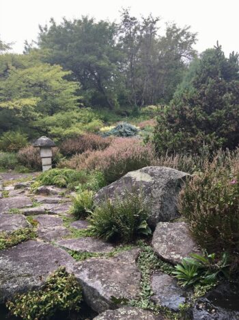 rockery at The Fells