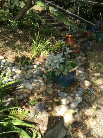 rockery along a path