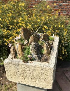 rockery in a pot 2