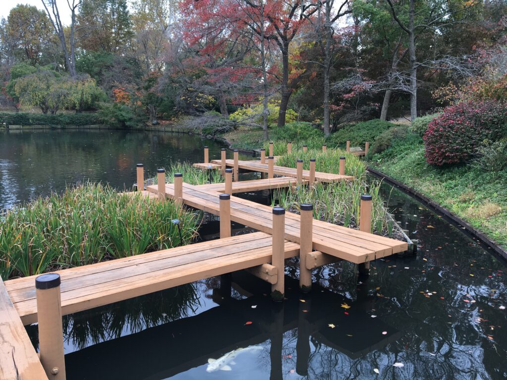 Zig-zag bridge in the Japanese Garden