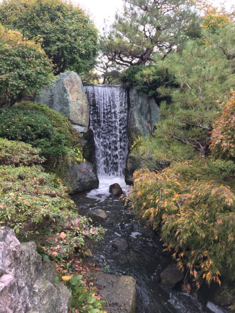 Japanese Garden Waterfall