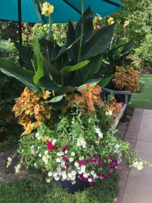 Hot colors and big texture in this area