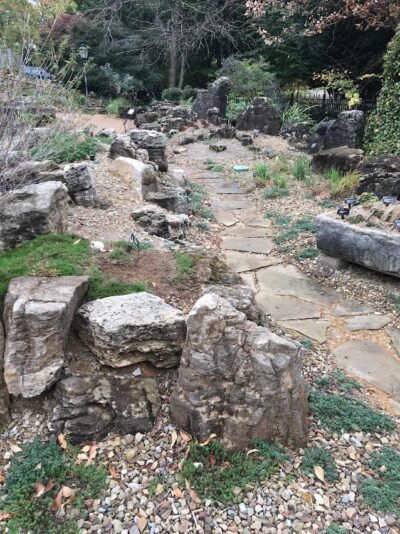 rockery with alpine plants