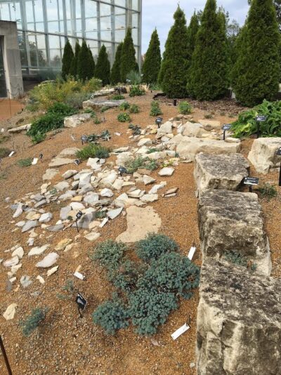 rockery with drought tolerant plants