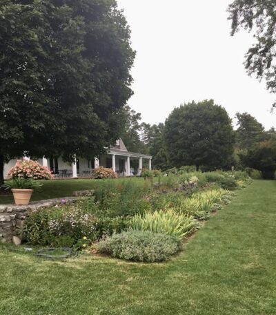 Perennial Border in the back garden