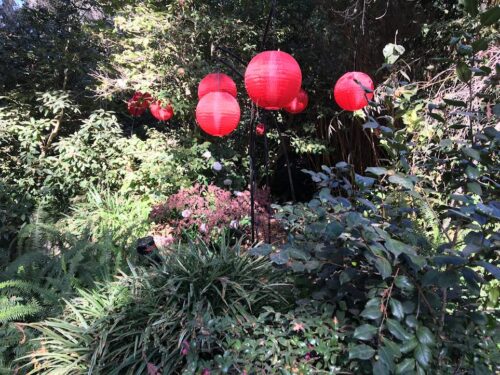 red lanterns in Japanese garden