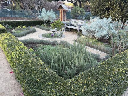 formal herb Garden