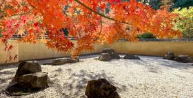 Japanese raked rock garden