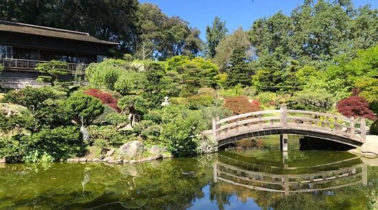 Pond and Bridge at Hakone Japanese Garden