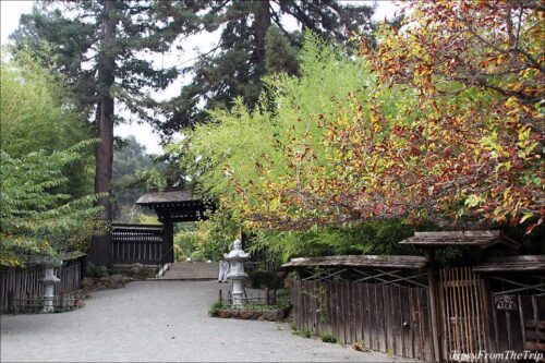 Gate and Lanterns at Hakone Japanese Garden