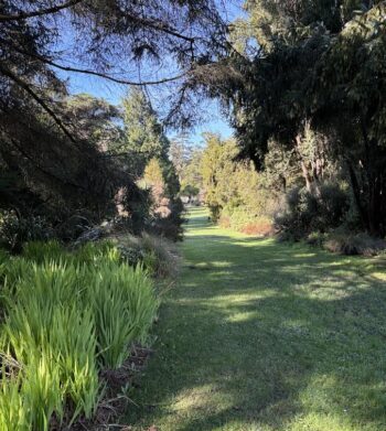 Strolling path over lawn