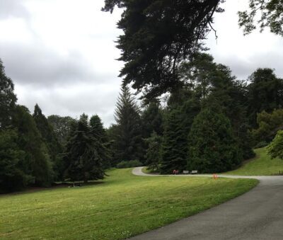 Center of the Arboretum with big lawn