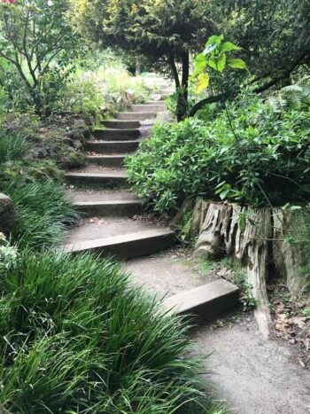 Timber steps with decomposed fines as path