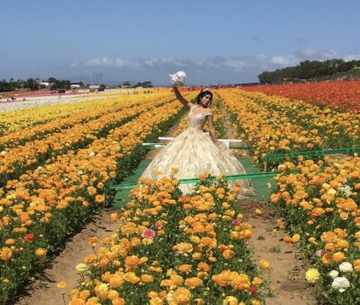 Princess in a field of Ranunculus flowers. Tulips herald spring blog