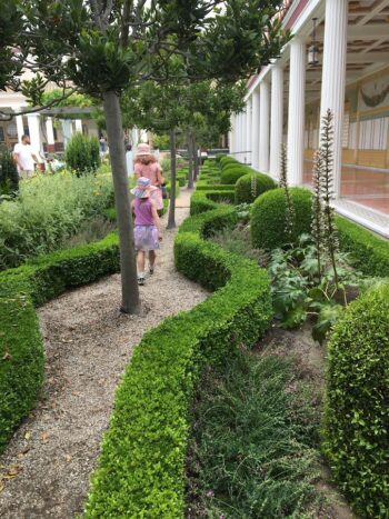 Curvy Boxwood Hedges and Grecian Bay Trees at the Getty Villa