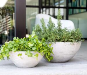 Terracotta pots with succulents. Pots for plants