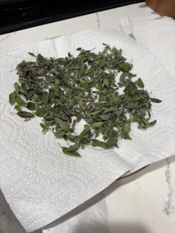 Fresh Herbs laid out on a paper towel for drying. Dry Herbs in the Microwave
