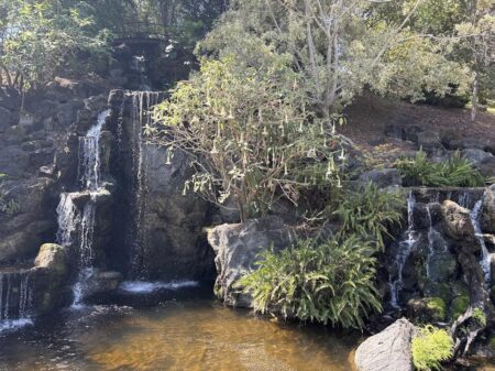 Showstopper two sided waterfall at the LA Arboretum