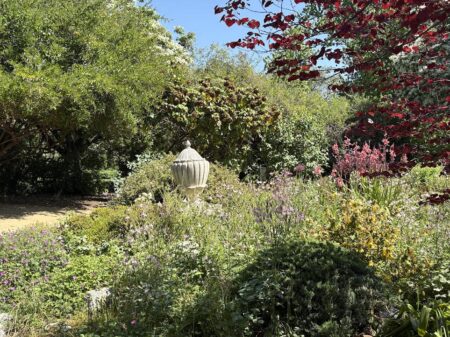 Wild perennial garden at the LA Arboretum