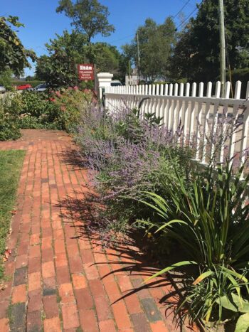 Victorian flower garden