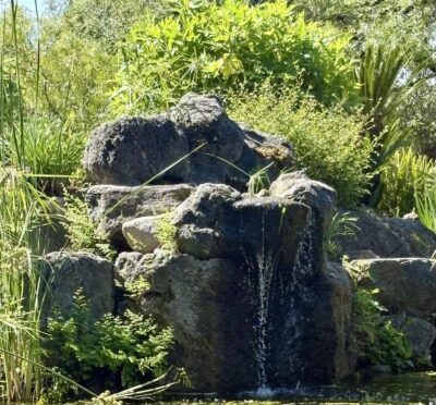 Small waterfall rock into pond at the LA Arboretum