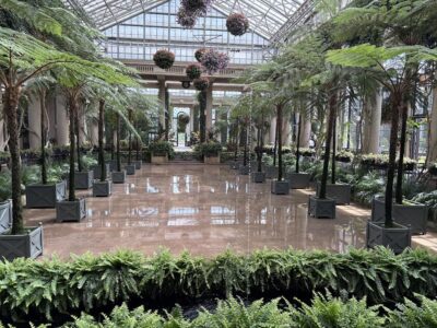 Reflection pond with Palms in the water court of the conservatory at Longwood gardens