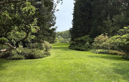 Vista at Winterthur with a park like setting