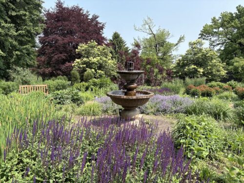 Perennial flowers and fountain at Hershey Garden