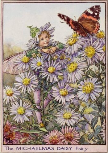 Cicely Mary Barker Daisy Flower Fairy Illustration
