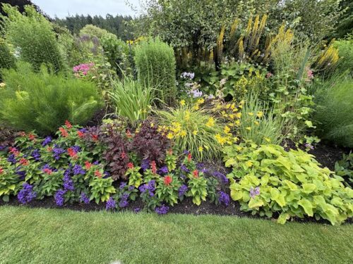 Flower Border in Primary Colors offset by varied green colors